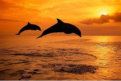 育碧汤姆克兰西系列核心编剧离开 曾任职23年